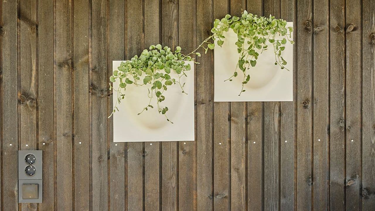 Nærbilde av en husvegg med dobbelfalset kledning og blomsterpotter med grønne vekster i.