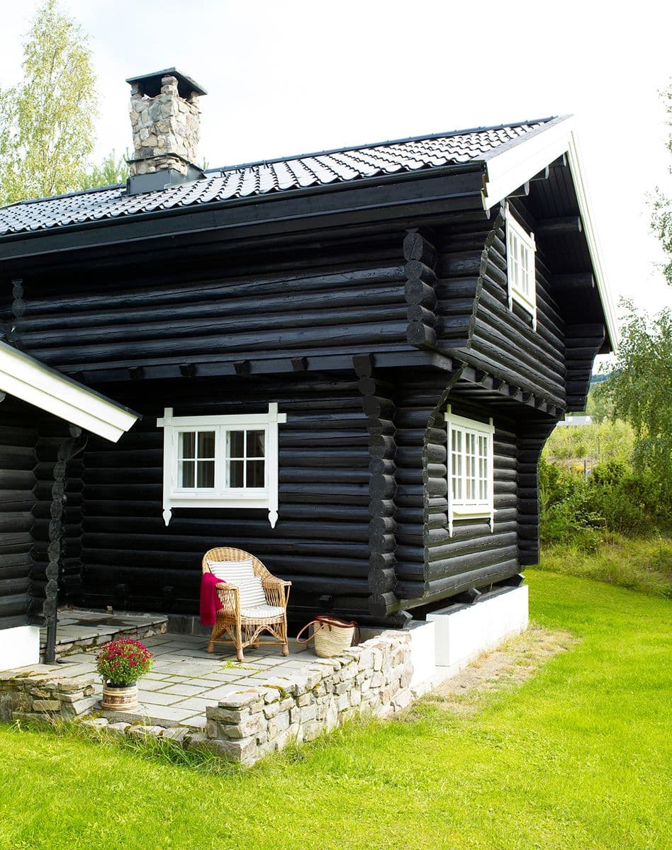 Brunbeiset, laftet hytte om sommeren